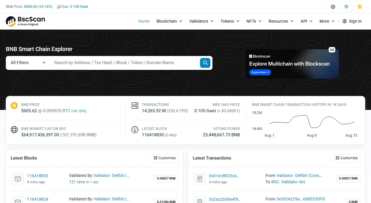 Page d’accueil publique de BscScan avec le champ permettant de rechercher une adresse ou un Tx Hash sur BNB Smart Chain