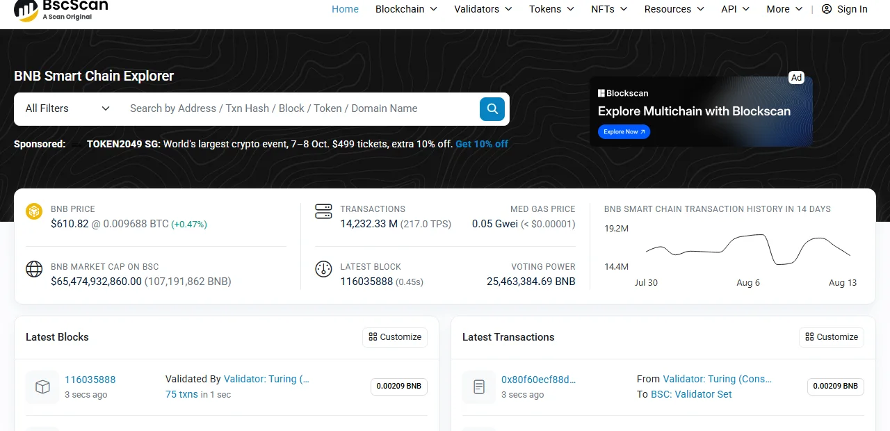 BscScan 首页的 Tx Hash 搜索框,可用于查询 BNB Smart Chain 上的交易状态